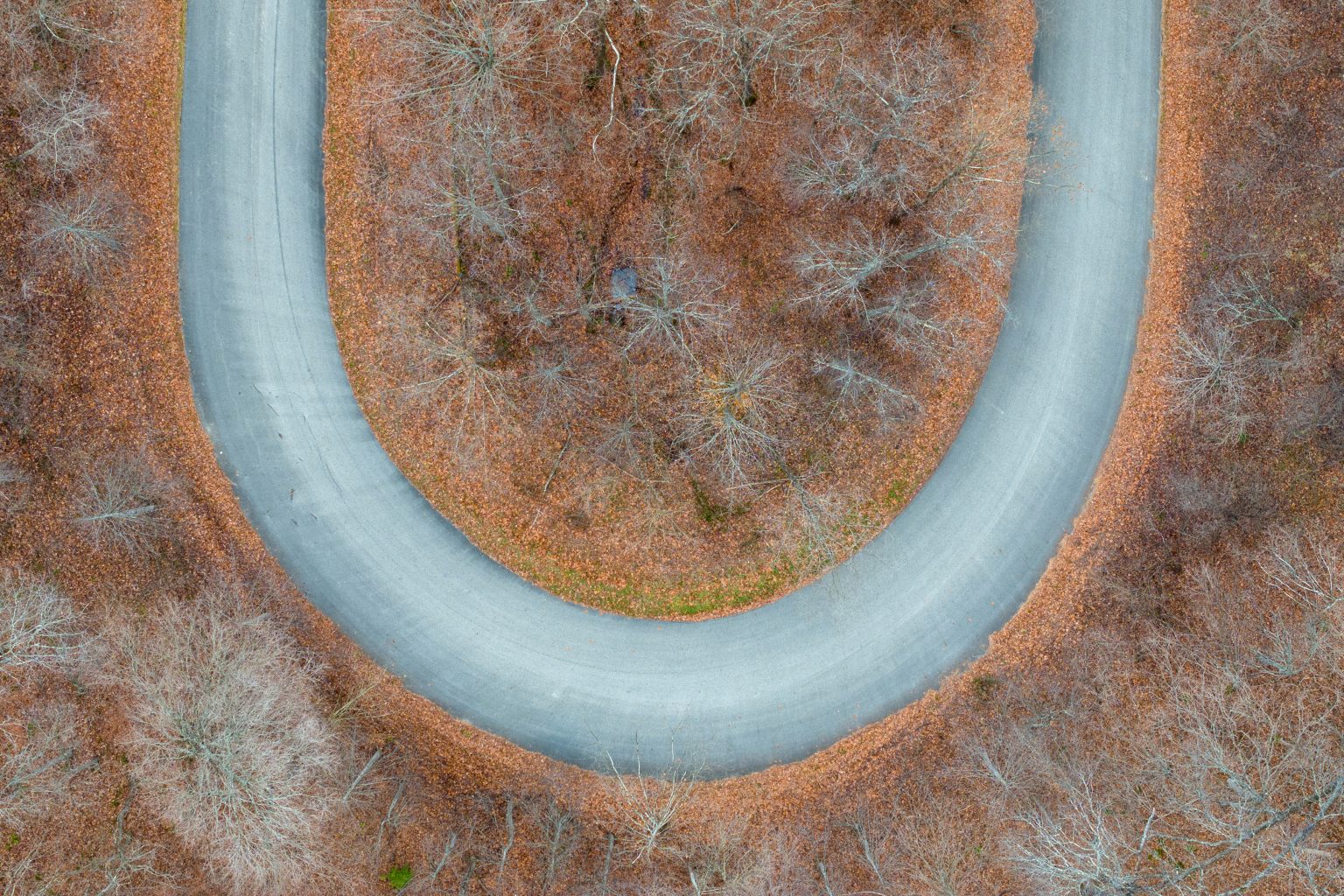Aerial view of a winding, U-shaped road surrounded by leafless trees and a forest floor covered in brown autumn leaves.
